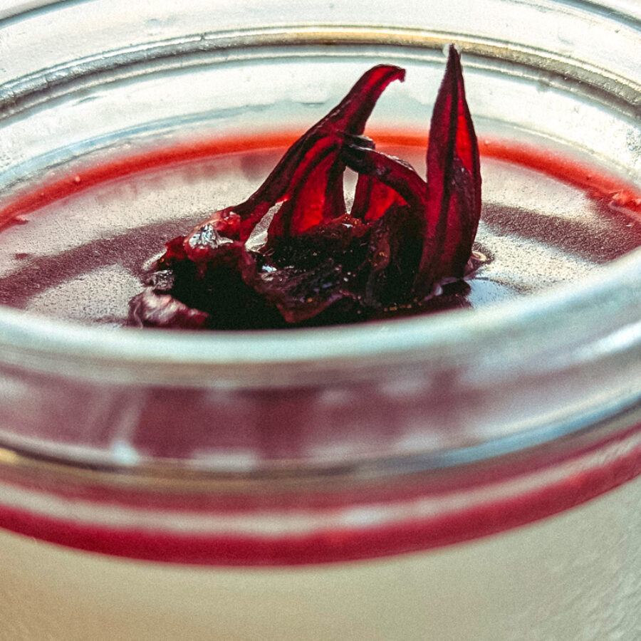 Panna_Cotta_01